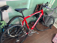 Cestno kolo Merida road 903