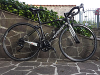 Cestno kolo Wilier Triestina GTR TEAM