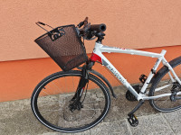 Kilimanjaro sport