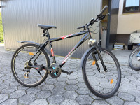 kolo Camox MTB 3000