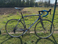 Specialized Tarmac Elite (2008), velikost 56, Shimano 105 – odlično oh