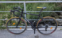 Specialka Cestno kolo Campagnolo Da Vinci 7005 valley