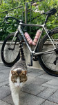Trek Emonda Sl6 carbon Aero 56