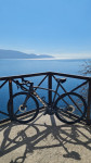TREK EMONDA