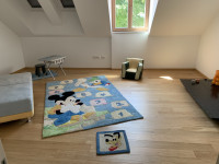 preproga Disney