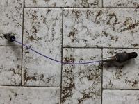 Daewoo Lanos 1.5 Lambda sonda