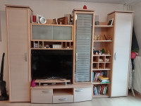 Dnevna soba 290x215 cm, regal, predalnik, steklen omara za dnevno sobo