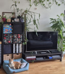 prodam Ikea pohištvo za dnevno sobo