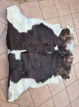 KOŽA goveja