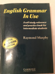 Angleščina. English grammar in use. Murphy.