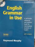 Vaje za angleščino English Grammar in Use
