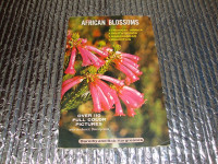 AFRICAN BLOSSOMS
