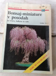 Bonsaj-Miniature v posodah