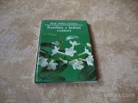 Moje sobne rastline (Rastline z belimi cvetovi) Mk 1990