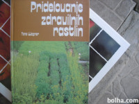 pridelovanje zdravilnih rastlin