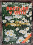 RASTLINE V VRTU, IZBOR OKRASNIH IN UPORABNIH RASTLIN