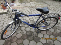 Moško kolo 28 col.