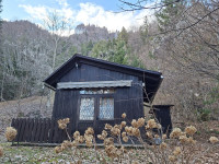 Podblica