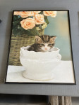 uokvirjena fotografija mucke