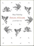 Angel pozabe / Maja Haderlap