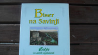 biser ob savinje