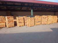 bukova drva na paletah 180e