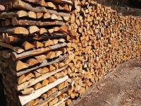 Bukova in mešana drva - sveža in suha + drva v vrečah