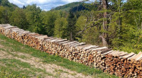 Bukova in mešana drva