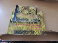 13 KREATIVNIH MEDITACISJKIH TEHNIK ZA VSAK DAN N. PAVLIN DRUŠTVO