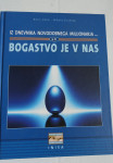 Knjigas BOGASTVO JE V NAS, Iz dnevnika novodobnega milijonarja