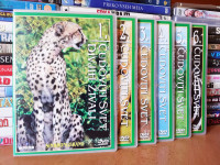Wild world! (1997) 1-6 komplet zbirka / Sinhronizirano v slovenščino