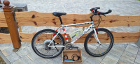 Električno gorsko kolo STORCK