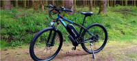 Električno kolo 29 colsko 48V 15Ah menjalnik Shimano, največja hitrost