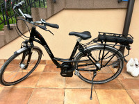 Električno kolo Bosch Limited edition