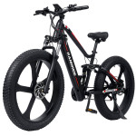 Električno kolo Randride YX90M, NOVO