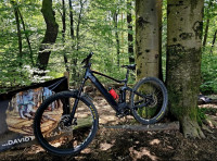 Scott Genius E ride 930 2020