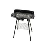 ELEKTRIČNI ŽAR MG401 45X24CM
