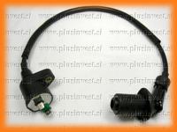 VŽIGALNA TULJAVA-CINŠPULA-BOBINA-BASHAN-EGL-BEMI-LONCIN