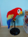 Govoreča papiga