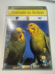 Animals in Action – A Child’s First Library of Learning.
