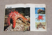 MLADI VEDEŽ od A do Ž