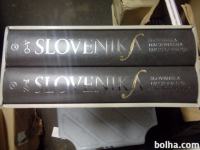 Slovenika : Slovenska nacionalna enciklopedija