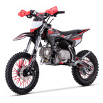 Pitbikes Dorado DT 125cc e-START+ AUTOMATIC 17/14 col