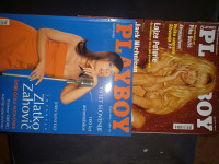 Playboy od leta 2001 do 2014