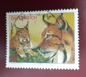 Avstrija 2006 Ris Fauna žigosana znamka
