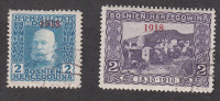 Bosna in Hercegovina 1918 - pomožna izdaja