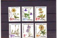 POLSKA - OGROŽENE ZDRAVILNE RASTLINE - MI. 1770/5* - (msmk)