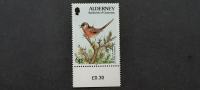 ptice - Alderney 1994 - Mi 70 - čista znamka iz serije (Rafl01)