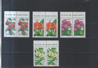 ROŽE, RASTLINE - Romunija 2000, par, nežigosano** - (msmk)