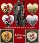 Življenjski spremljevalec